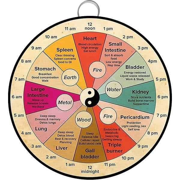 Shamanic Teaching Wheel Full eBook