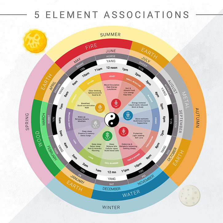 STW Modules - The Shamanic Teaching Wheel: A Path to Consciousness